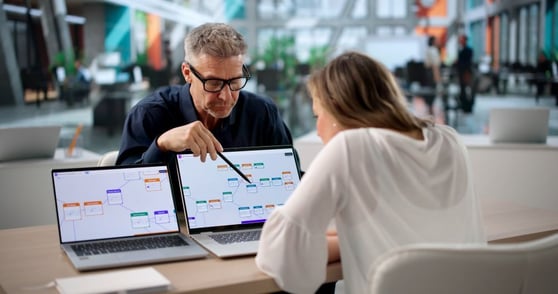Two Business Professionals Collaborating