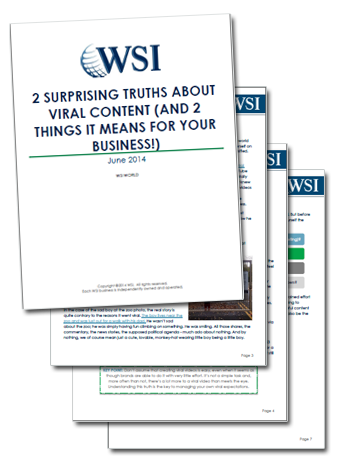 WSI World Blog - Whitepaper: 2 Surprising Truths About Viral Content Image 2