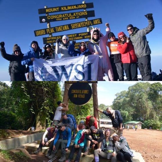 Photo collage of WSI in Kilimanjaro.