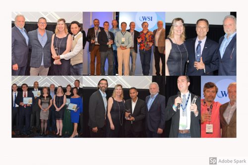 Collage of all the WSI Award Winners.