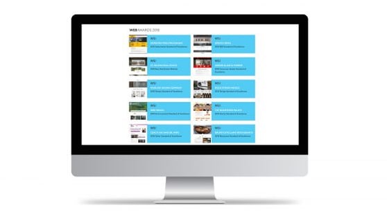 Image of computer screen with WSI's WMA WebAwards listed on it.