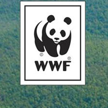 How WSI Built an Award-Winning Client Solution in Brazil
