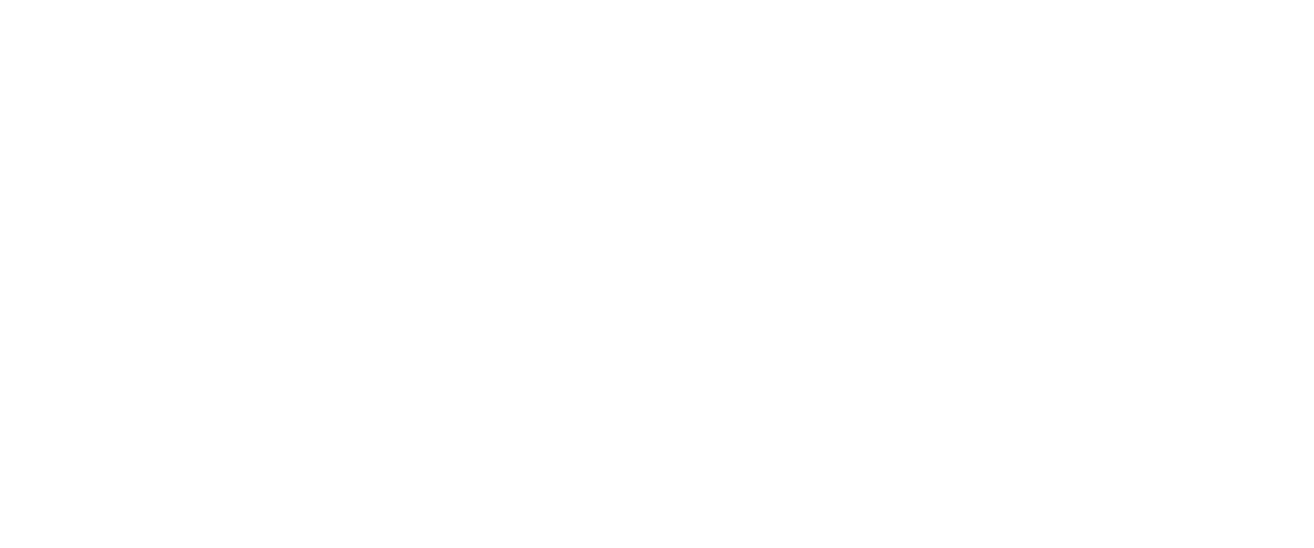 WSI Logo - White - Tagline - print-1