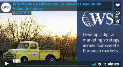 Screenshot of the WSI Case Study for Sunsweet video.