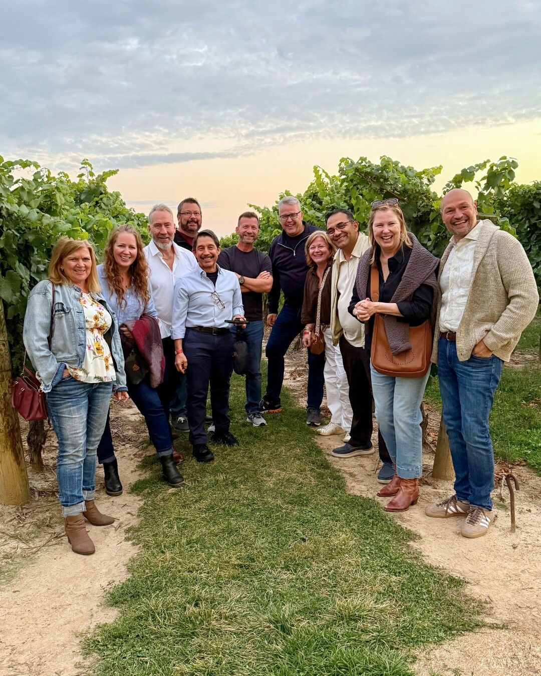 WSI Team and WSI Consultants